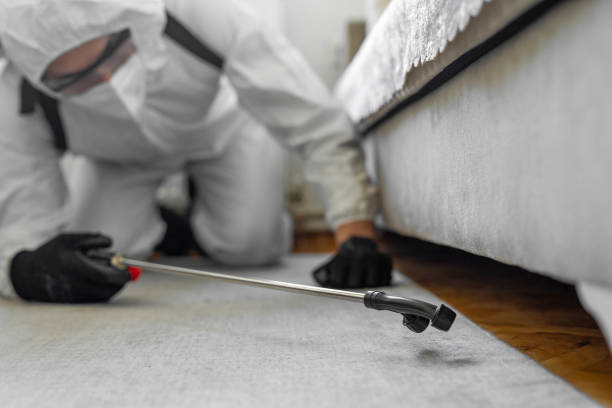 Professional Pest Control technician working in Sayreville, NJ
