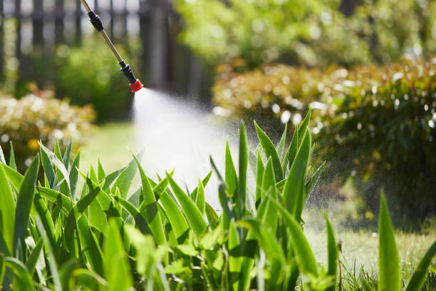24/7 Emergency Termite Control experts in Sayreville, NJ