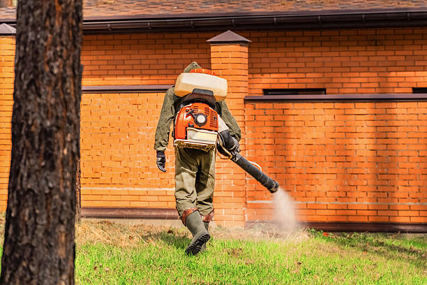 Trusted Emergency Pest Control service in Sayreville, NJ - Nex Pest Control